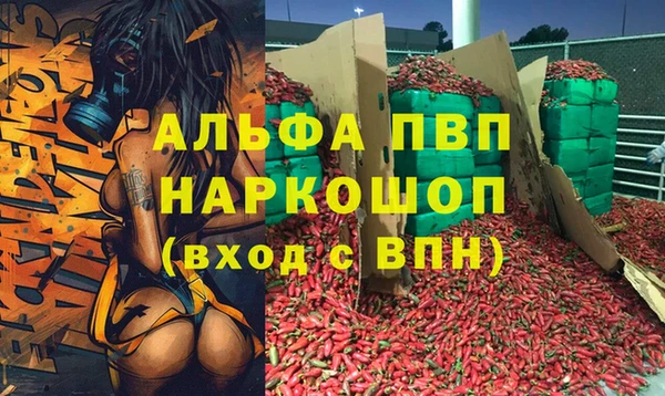 молекула духа Бугульма