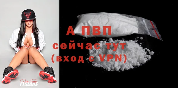 молекула духа Бронницы