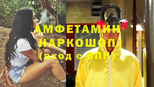 mdpv Бородино