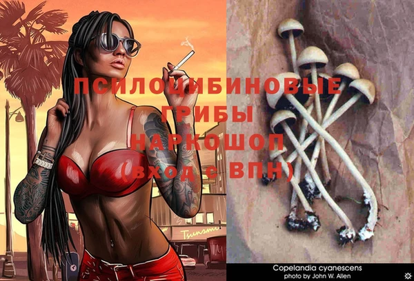 дживик Верхний Тагил