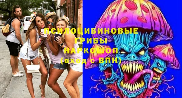 дживик Верхний Тагил
